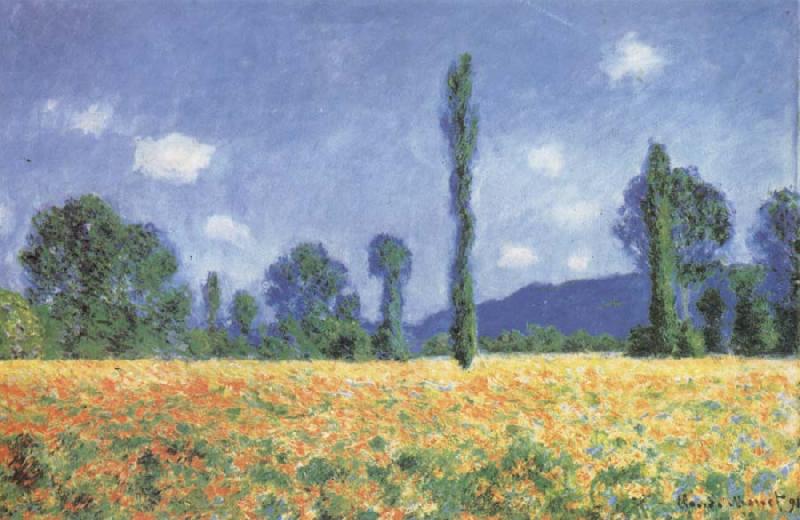 Claude Monet Poppy Field Germany oil painting art